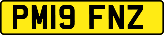 PM19FNZ