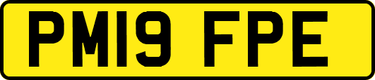 PM19FPE