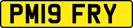 PM19FRY