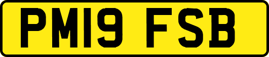 PM19FSB