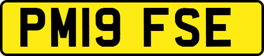 PM19FSE