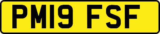 PM19FSF