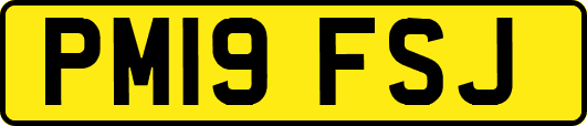 PM19FSJ