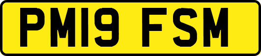 PM19FSM