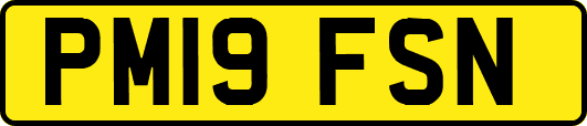 PM19FSN