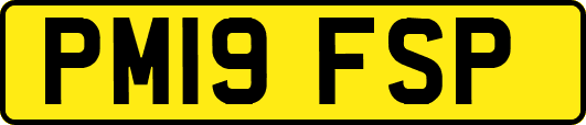 PM19FSP