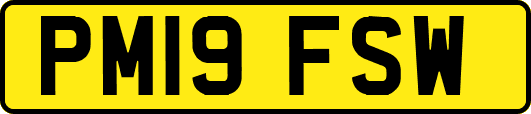 PM19FSW