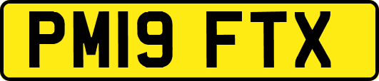 PM19FTX