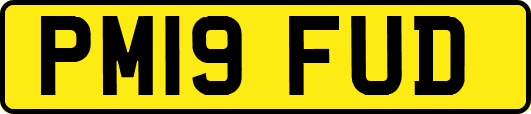 PM19FUD