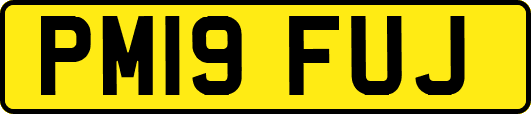 PM19FUJ