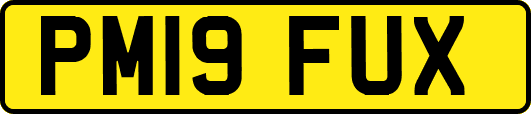 PM19FUX