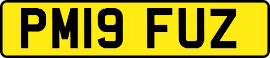 PM19FUZ