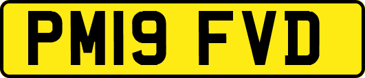 PM19FVD