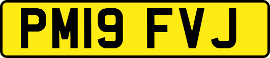 PM19FVJ