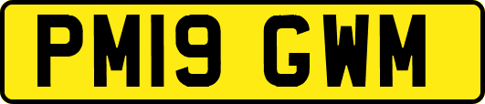 PM19GWM