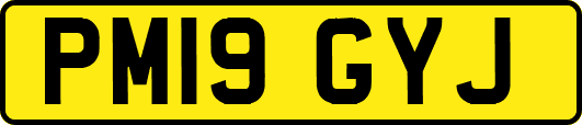 PM19GYJ