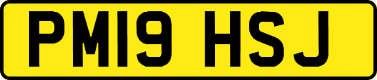 PM19HSJ