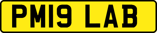 PM19LAB