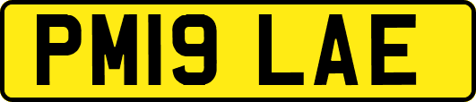 PM19LAE