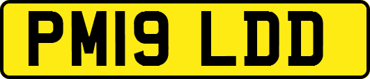 PM19LDD