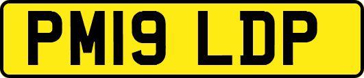 PM19LDP