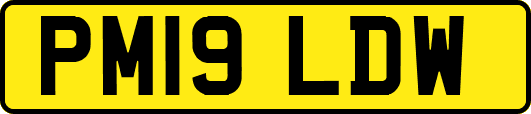 PM19LDW