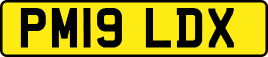 PM19LDX