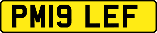 PM19LEF