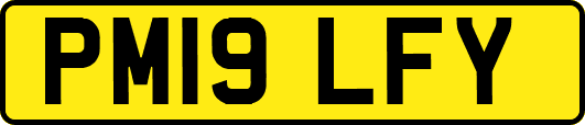 PM19LFY