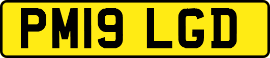 PM19LGD