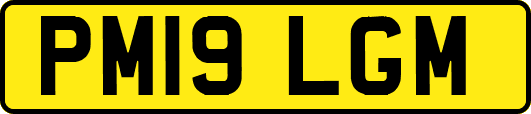 PM19LGM