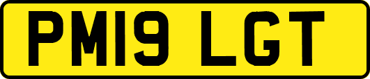 PM19LGT