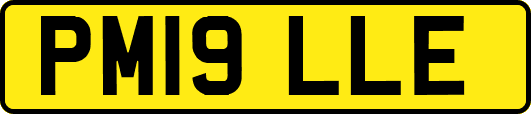 PM19LLE