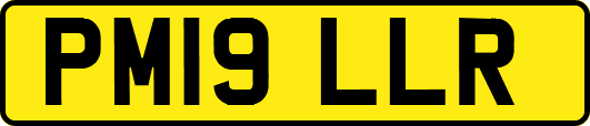 PM19LLR