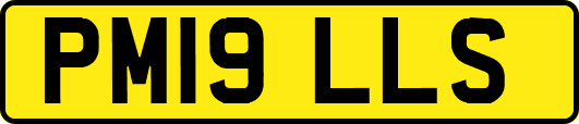 PM19LLS