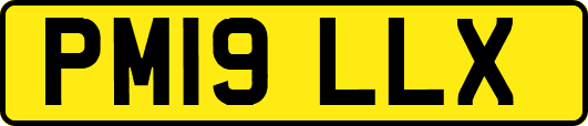 PM19LLX