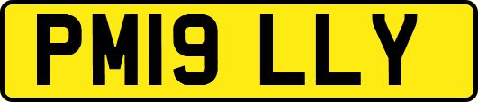 PM19LLY