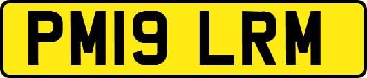 PM19LRM