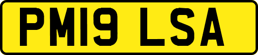 PM19LSA