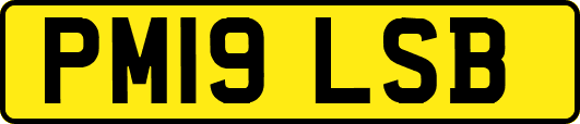 PM19LSB