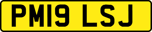 PM19LSJ