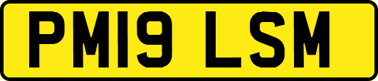 PM19LSM