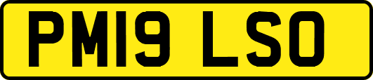 PM19LSO