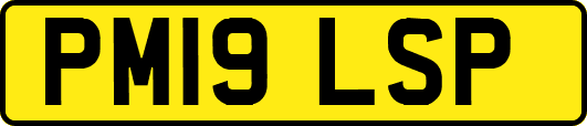 PM19LSP