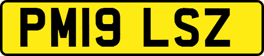 PM19LSZ