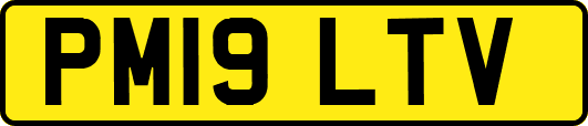 PM19LTV