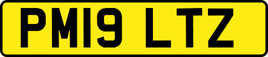 PM19LTZ