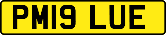 PM19LUE