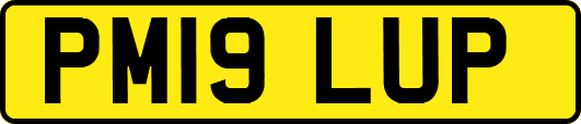 PM19LUP