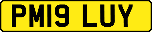 PM19LUY